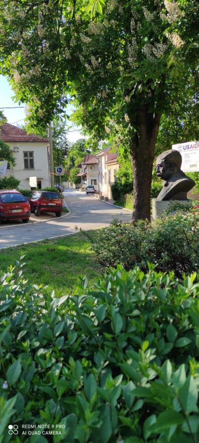 Stevan Sremac Deluxe Soko Banja Exterior foto