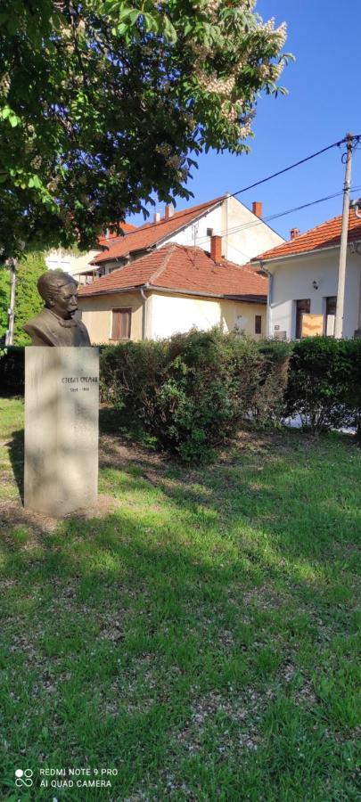 Stevan Sremac Deluxe Soko Banja Exterior foto