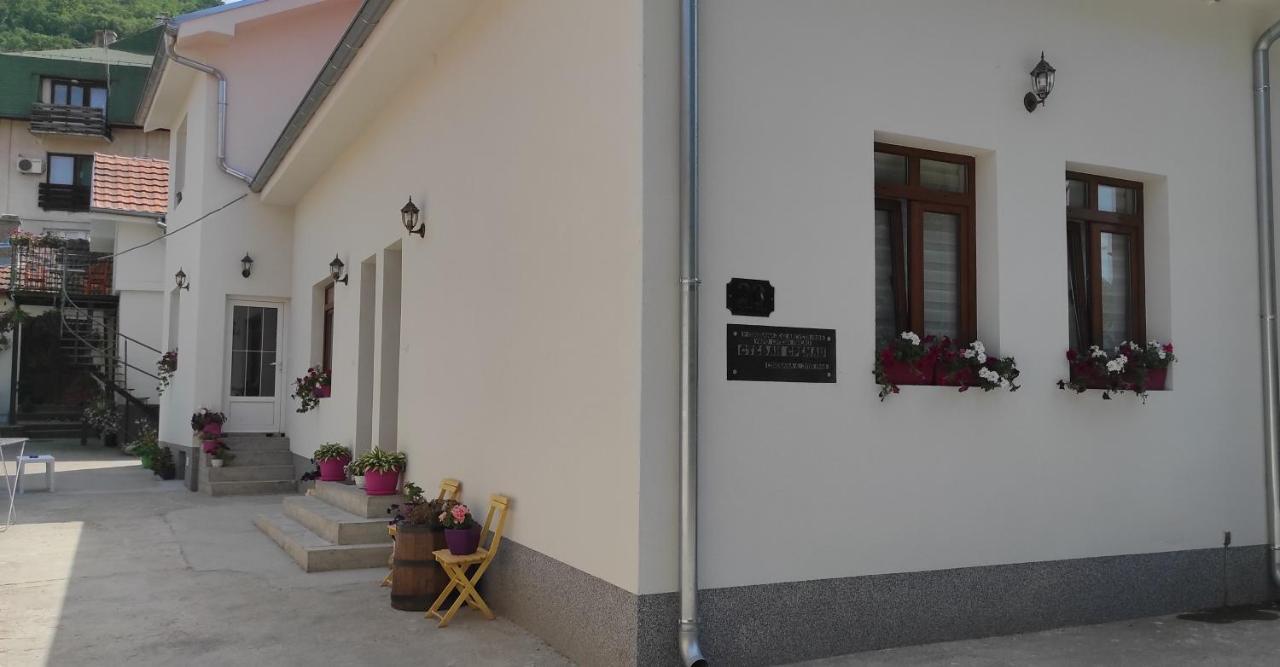 Stevan Sremac Deluxe Soko Banja Exterior foto